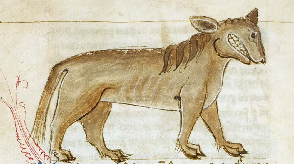 The legendary crocotta, as portrayed in the Bestiary of Anne Walshe, 15th century
