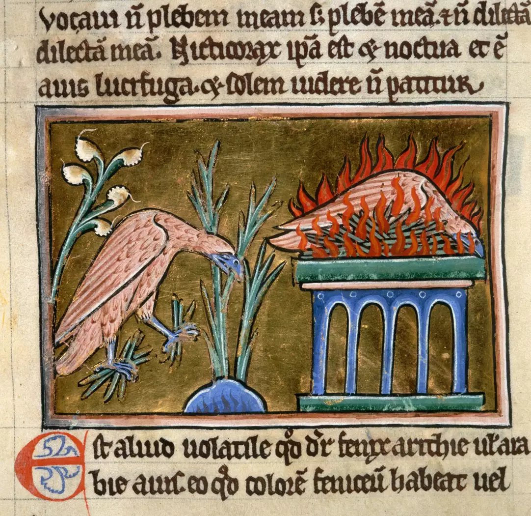 During the Christian era, the Phoenix became tightly woven into resurrection theology