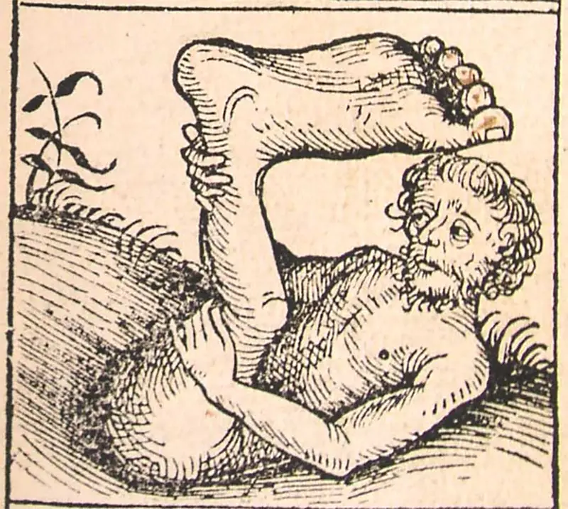 Monopod - Illustration from the Nuremberg Chronicle, 1493