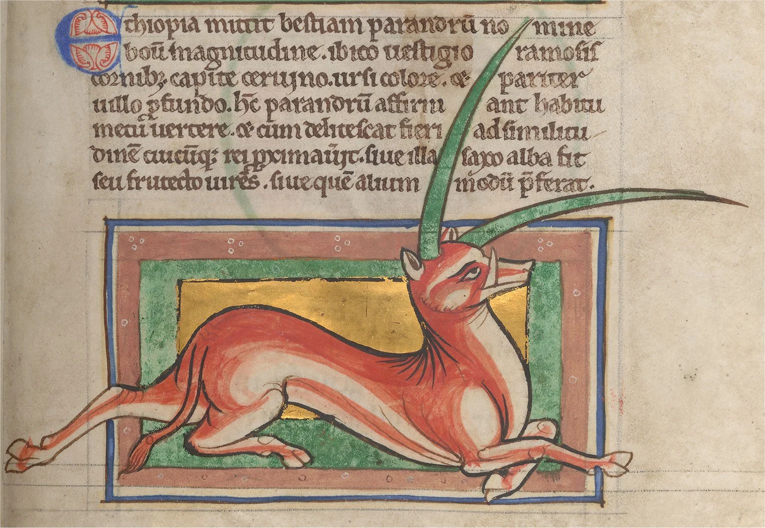 Yale shown in Morgan M.81, f.039r-eale.