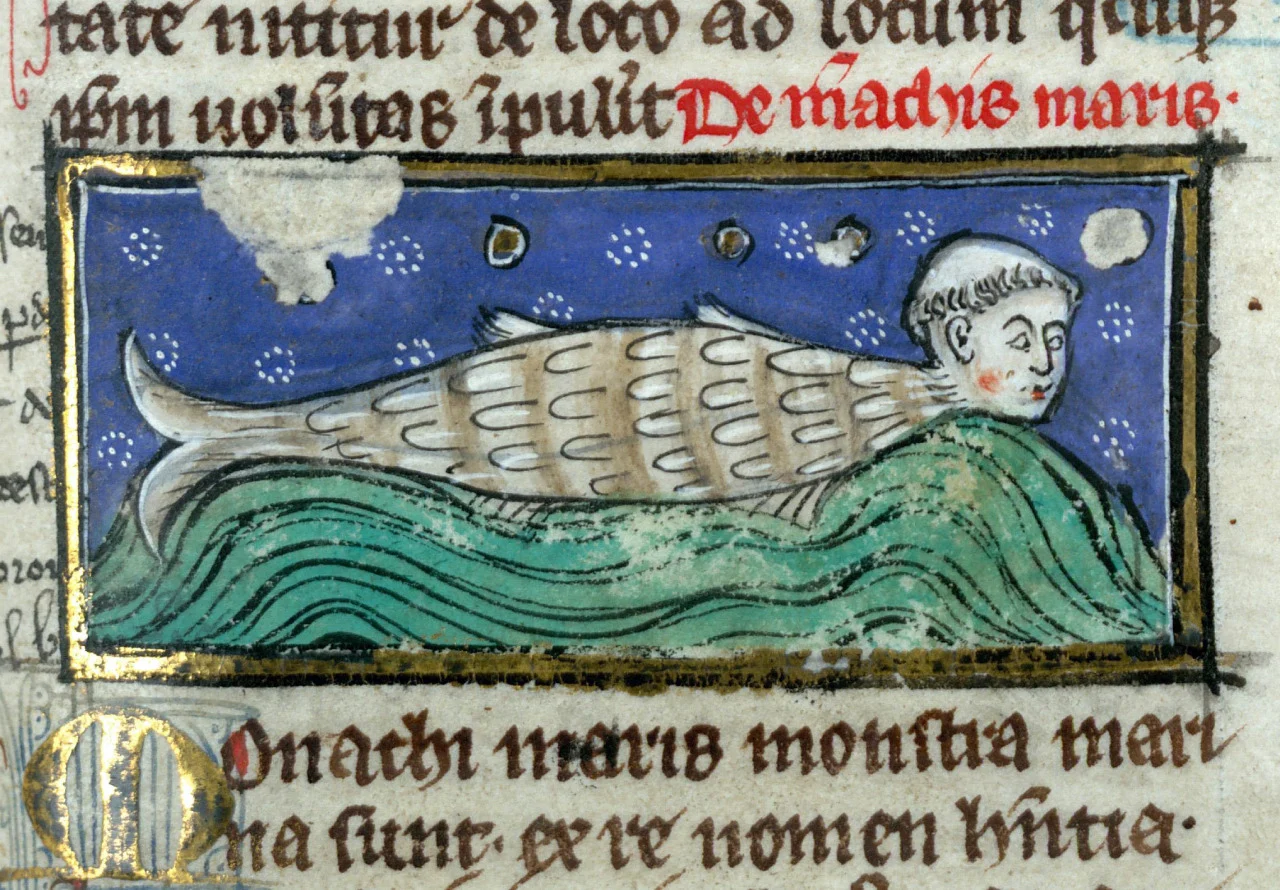 Sea Monk shown in Sea Monk Thomas of Cantimpré.