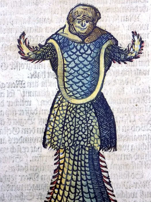 Sea Monk shown in Sea monk (1669).