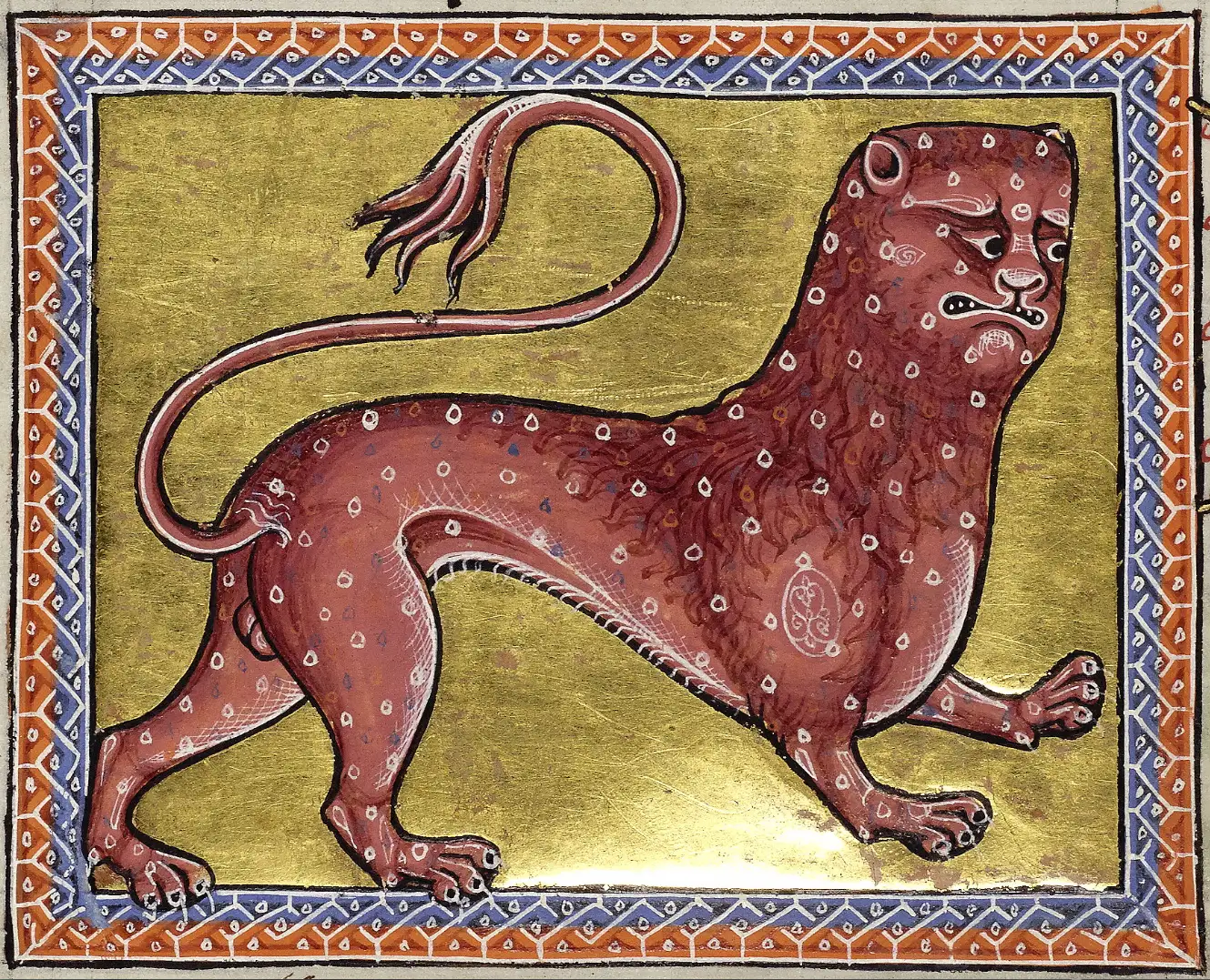 The Pard (Pardus), depicted as a spotted, lion-like creature in the Aberdeen Bestiary, an English illuminated manuscript from around 1200. Folio 8v.