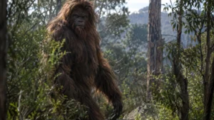 Yowie - Aboriginal Revival folklore Yowie - Aboriginal Revival folklore