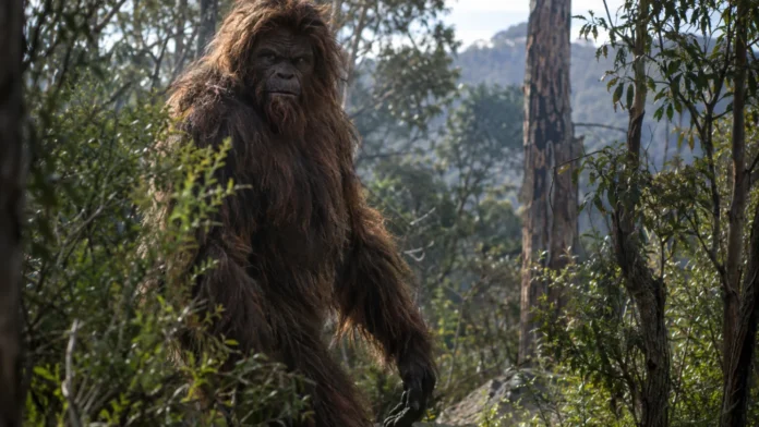 Yowie - Aboriginal Revival folklore